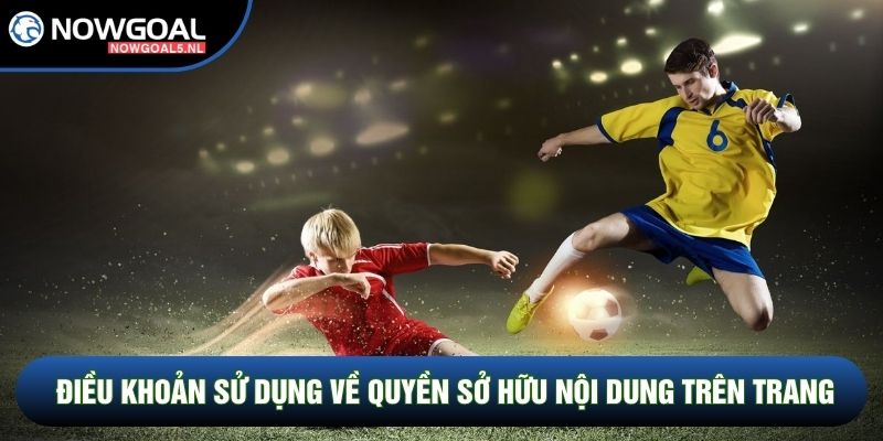 Điều khoản sử dụng về quyền sở hữu nội dung trên trang