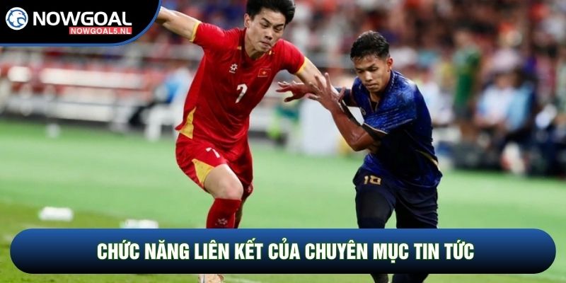 Chức năng liên kết của chuyên mục tin tức